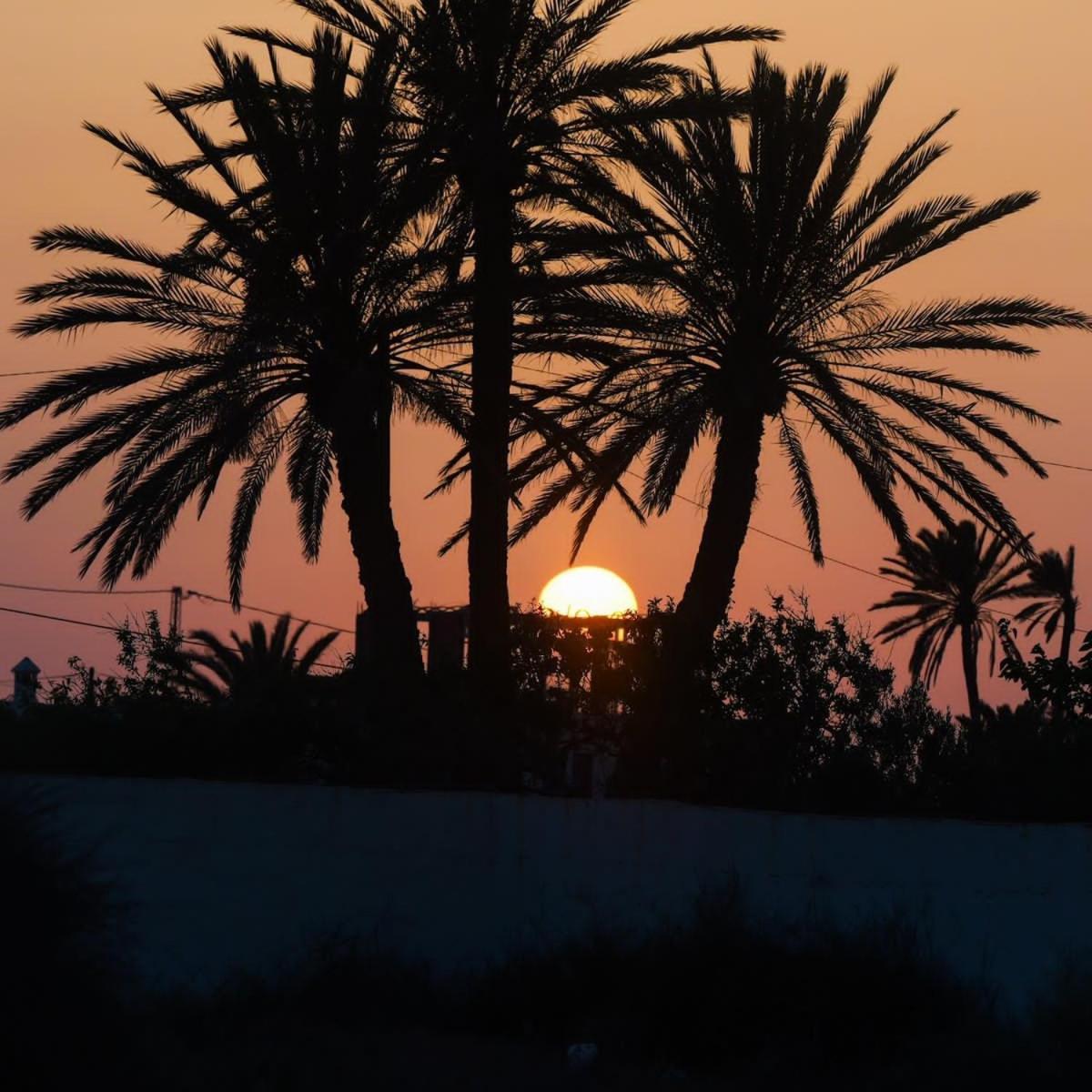 Studio Rouge Cosy A Dar Lili Djerba مزرايا المظهر الخارجي الصورة
